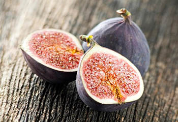 Fig Trees at the Bible Garden, Burnley