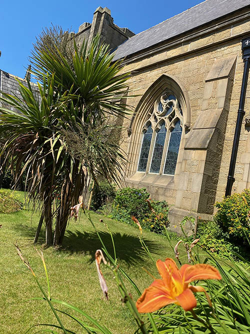 Palm Tree at the Bible Garden, Burnley